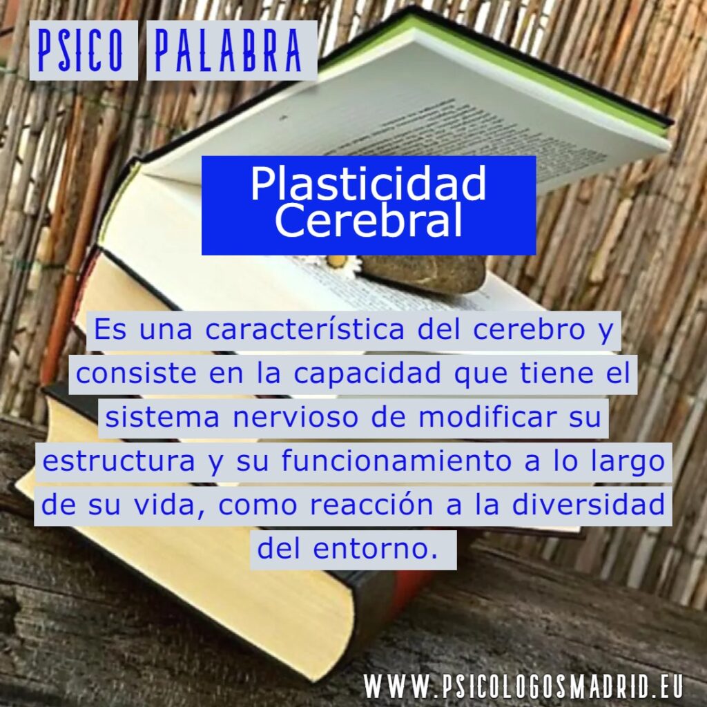 Plasticidad Cerebral PSICO PALABRA Psicologos Madrid